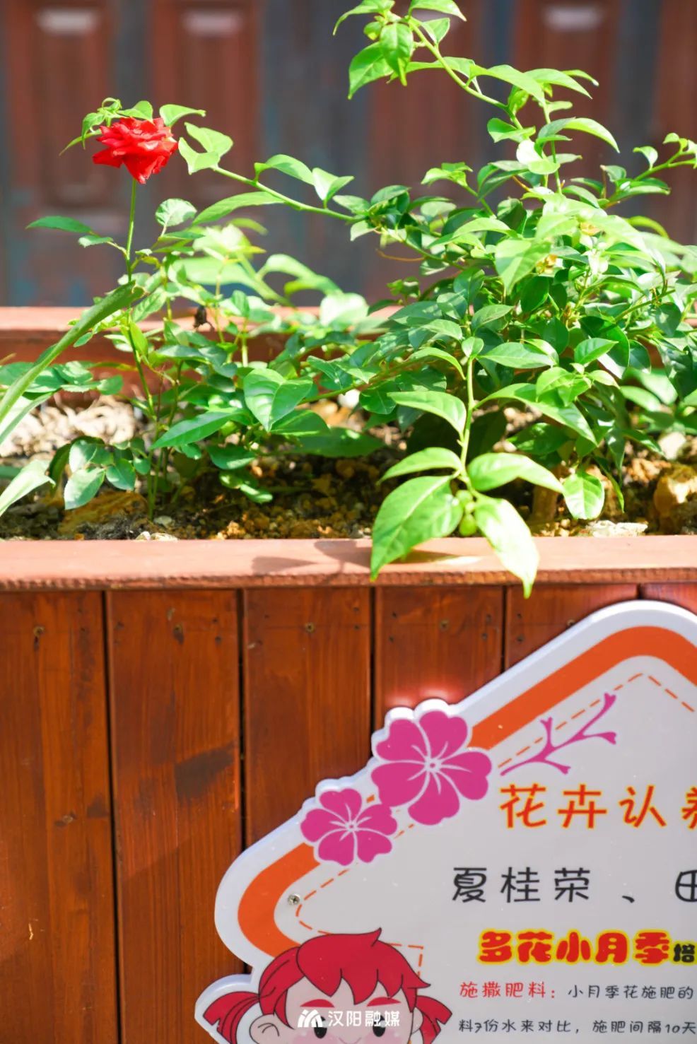 DSC05186.jpg 图片