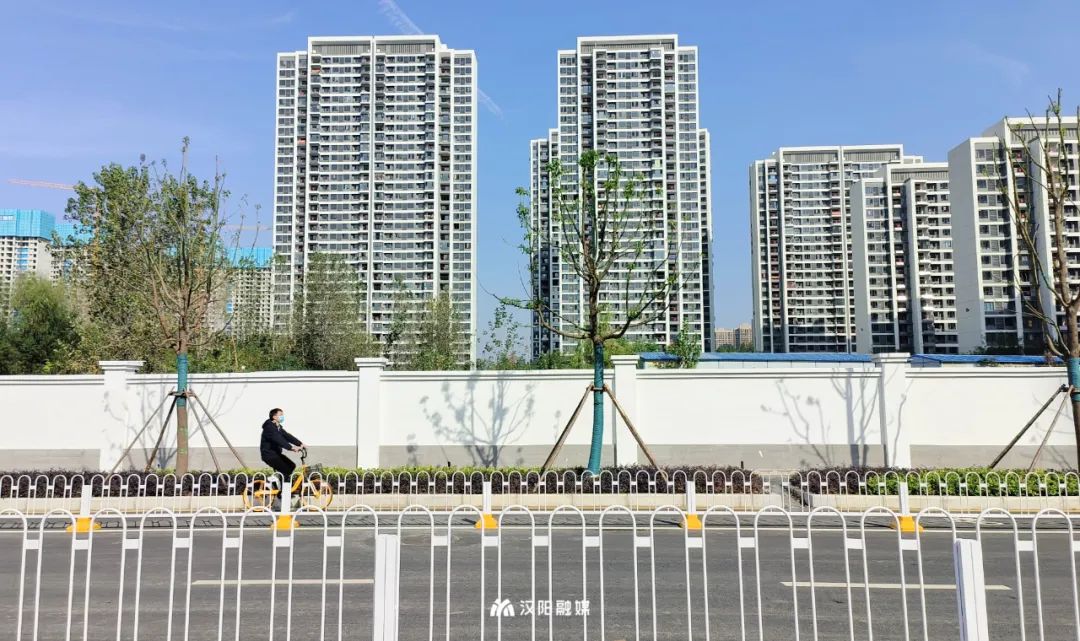 4O7A4794.jpg 图片